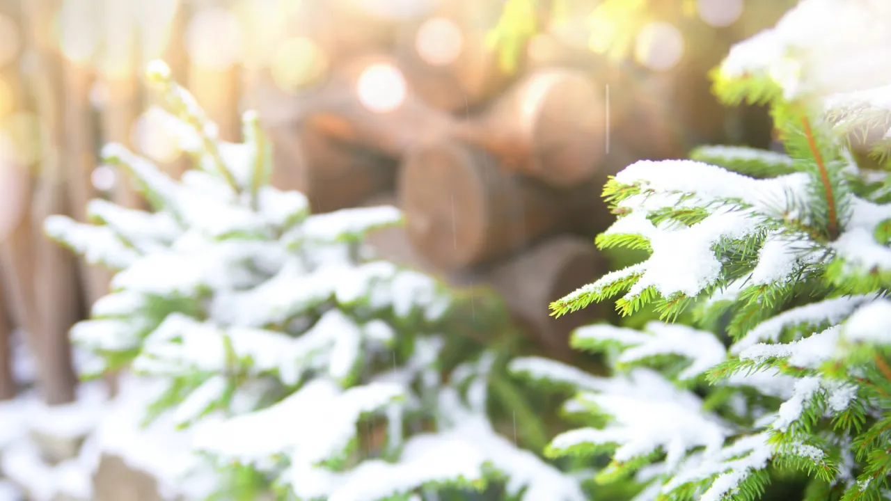 Гордіїв день 3 січня: що категорично заборонено робити, щоб не втратити добробут 