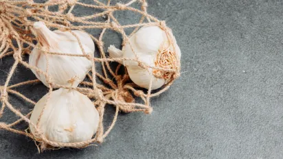 Замість дорогих добрив — дві жмені піску: як врятувати врожай часнику під час зимових відлиг - фото