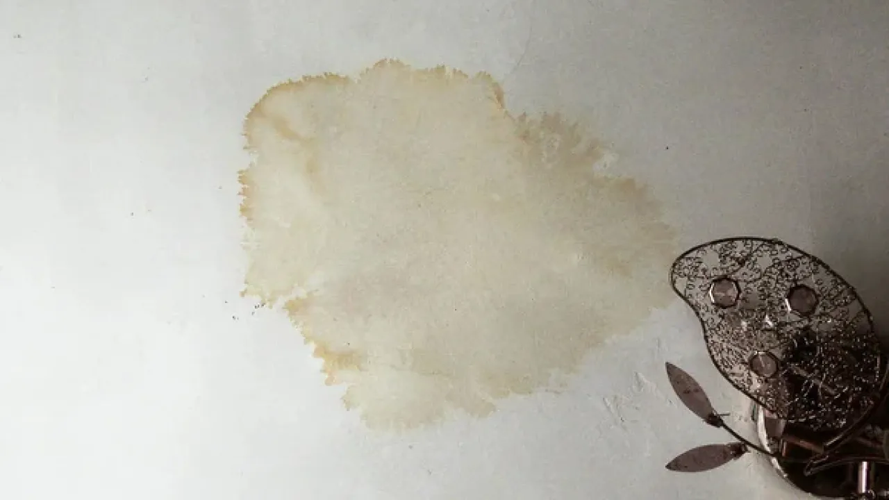 Як назавжди здолати сирість у домі за допомогою солі та соди 