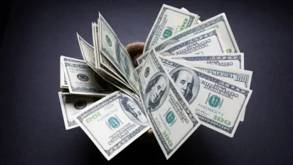 Курс долара у січні 2026 року: чи чекати різких коливань гривні - фото