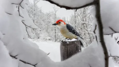 Яку річ не можна виносити з дому 4 січня, щоб не прогнати удачу на весь 2026 рік - фото