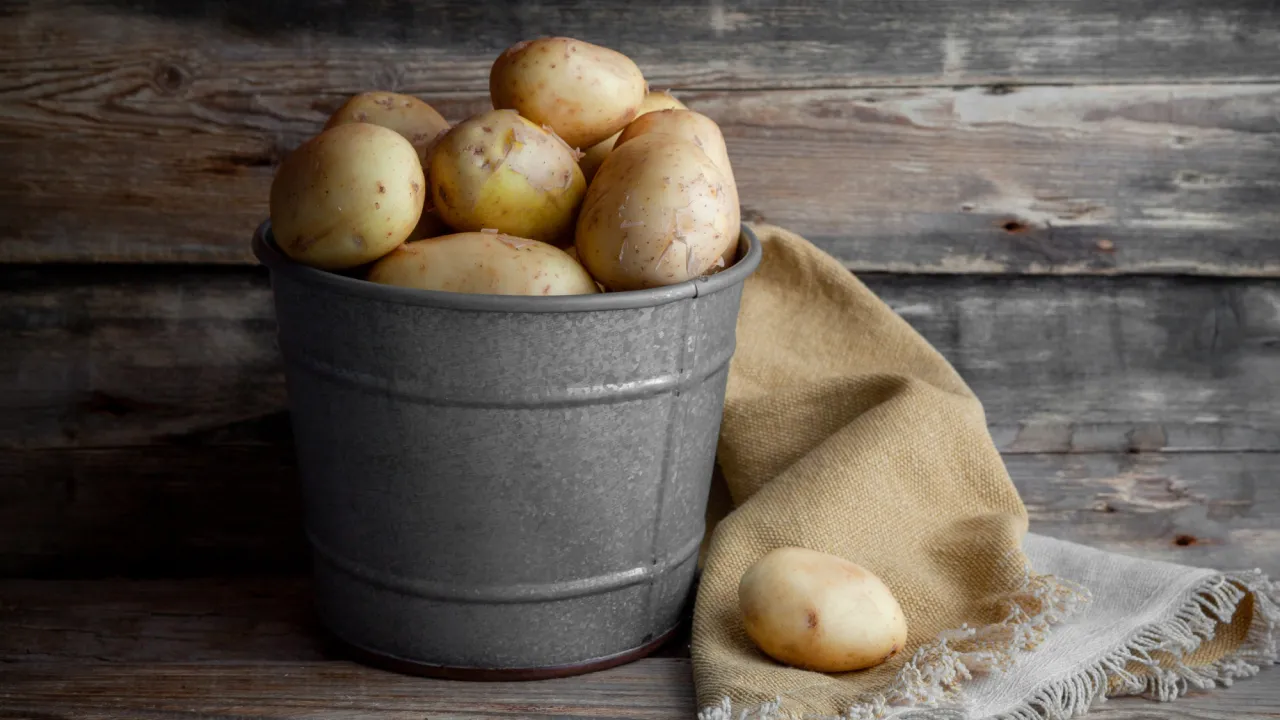Картопля не згниє і не проросте: як правильно зберігати врожай у квартирі без погреба 
