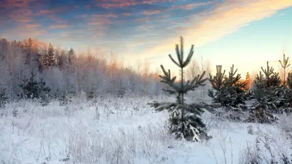 Цього дня не дають гроші в борг і не перуть: що категорично заборонено 5 січня - фото