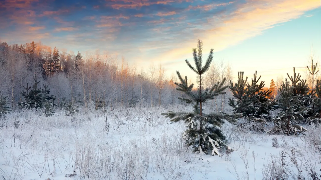 Цього дня не дають гроші в борг і не перуть: що категорично заборонено 5 січня 