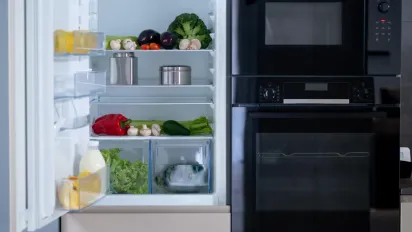 Навіщо досвідчені господині кладуть активоване вугілля в холодильник: трюк, який змінить ваше життя - фото