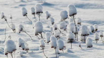 Ожеледь і льодяний дощ: якою буде погода в Україні 6 січня - фото