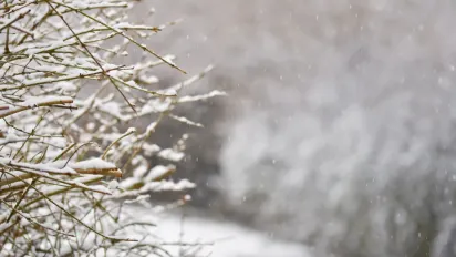 Україну розділить негода: де 7 січня засипле снігом, а де прийде весняне тепло - фото