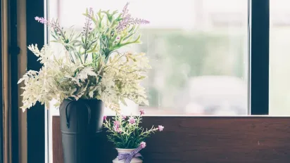 Конденсат на вікнах зникне: 4 кімнатні рослини, що рятують дім від вогкості - фото