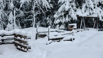 Сніг на заході та дощі по всій країні: якою буде погода в Україні 7 січня - фото