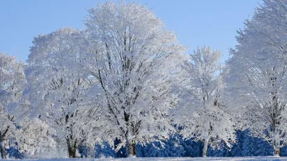 День святого Євстратія та кінець Святок: що обов’язково потрібно зробити 9 січня, аби не накликати біду - фото