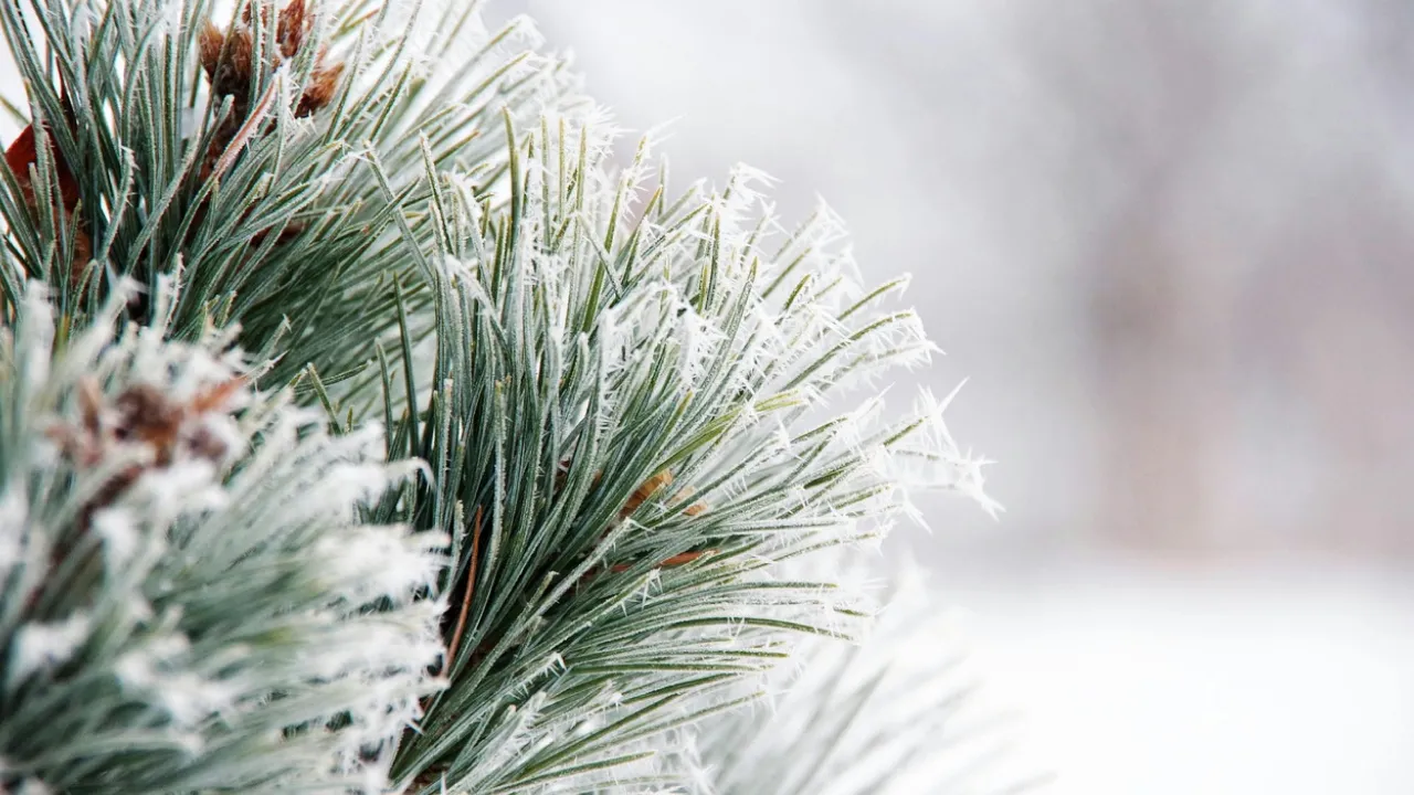 Морози посиляться: якою буде погода в Україні на вихідних 