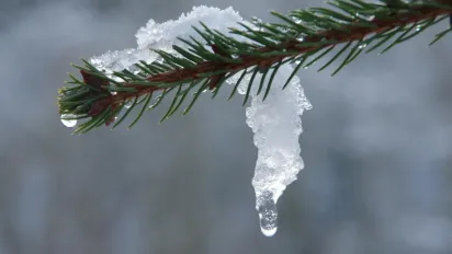 Морози відступлять, але не одразу: коли в Україні чекати потепління - фото