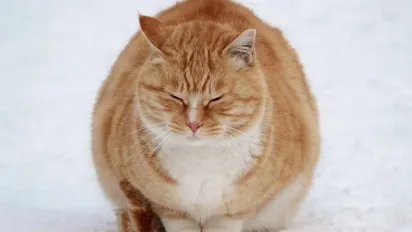 Морози до –17°: де в Україні 10 січня буде найхолодніше - фото