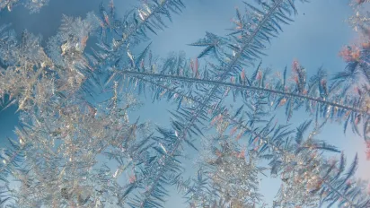 Мокрий сніг, дощі та вітер: якою буде погода в Україні 11 січня - фото