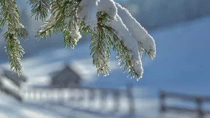 Коли в Україні закінчаться сильні морози: прогноз синоптиків - фото