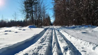 Морози до -24° і ожеледиця до весни: що чекає Україну 12 січня та далі - фото