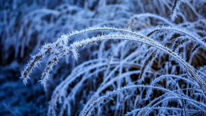 Полярне вторгнення чи фейк: чи справді в Україну йдуть морози до -30 градусів - фото