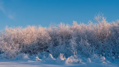 Що не можна робити з грошима 13 січня, щоб рік у боргах не ходити: народні прикмети - фото