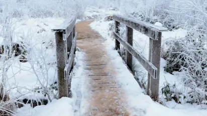 Морози в Україні 13 січня: де буде до -20 і ожеледиця - фото