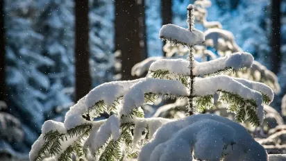 В Україну йде потепління, але ненадовго: що буде з погодою - фото