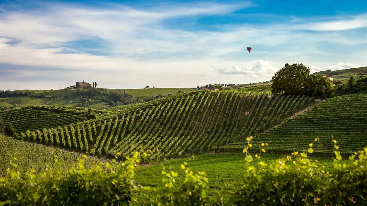 Земельний податок у 2026 році: хто з пенсіонерів може не платити та як оформити пільгу 