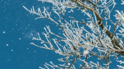 Морози не відступають: якою буде погода в Україні 14 січня - фото