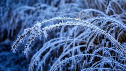 День чаклунів та «перелом зими»: чому 15 січня вважали найнебезпечнішою датою січня - фото