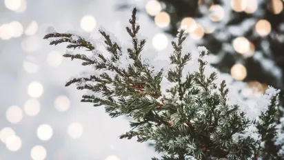 Що викидали з дому 16 січня, щоб «прогнати» з дому бідність: народні прикмети - фото