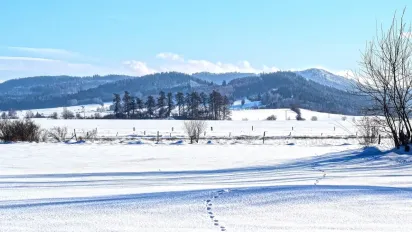 Морози знову беруть гору: якою буде погода в Україні 16 січня - фото