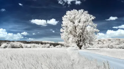 Свято 17 січня: чому суворо заборонено ділитися планами та як не «зав’язати» шлях до грошей - фото