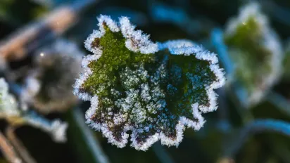 Рекордні -41,9 градуса: де і коли в Україні фіксували найлютіші морози в історії - фото