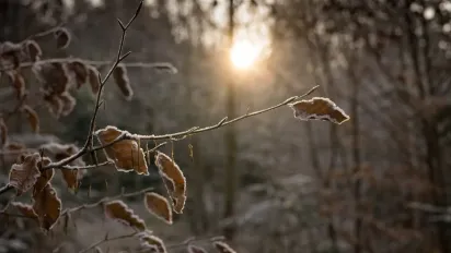 Погода сьогодні, 18 січня: синоптики попередили про морози до -22 °C - фото