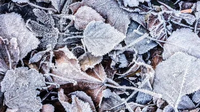 Антициклон посилюється: синоптик назвав дату, коли люті морози нарешті відступлять - фото