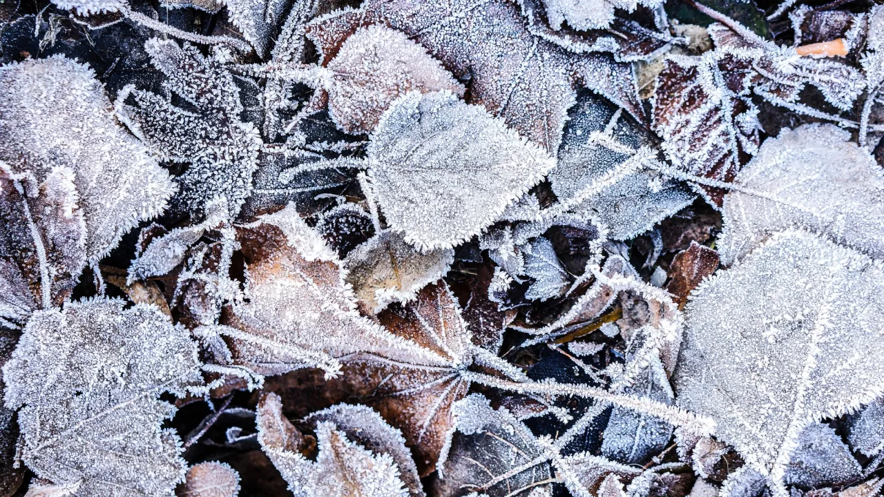 Антициклон посилюється: синоптик назвав дату, коли люті морози нарешті відступлять 