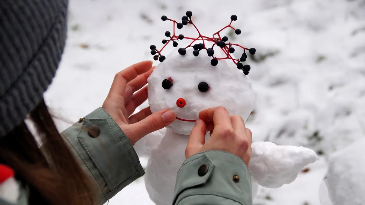 Синоптикиня Діденко повідомила, як довго в Україні триватимуть сильні морози 