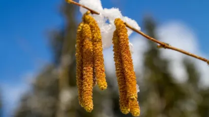 Морози відступлять не одразу: синоптики назвали дату зміни погоди в Україні - фото
