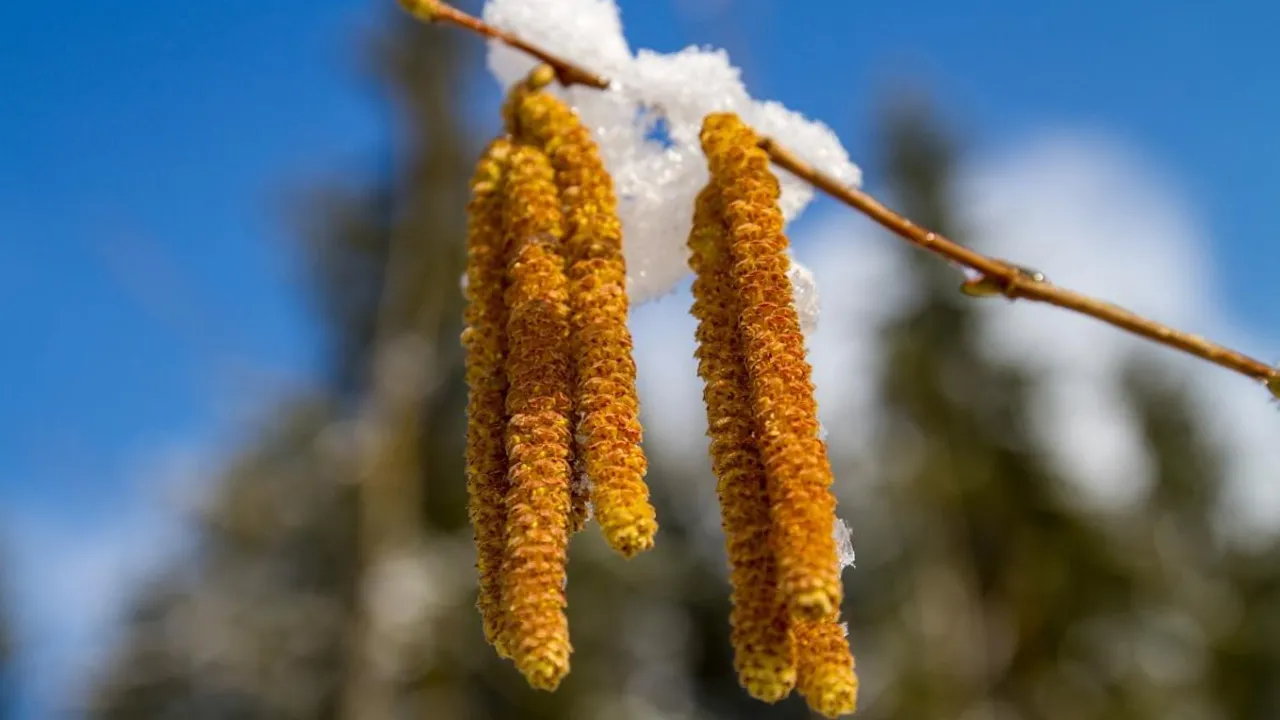 Морози відступлять не одразу: синоптики назвали дату зміни погоди в Україні 