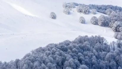 Морози слабшають, але зима не відступає: чого чекати від погоди в Україні після 22 січня - фото