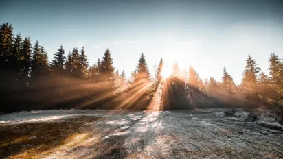 Потепління вдень і морози вночі: прогноз погоди до кінця січня - фото