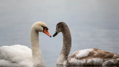 Що не можна позичати 21 січня, щоб не накликати невдачі: народні прикмети - фото