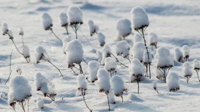 Аномальний холод повернеться до України наприкінці січня: прогноз синоптика - фото