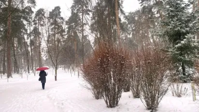 Антициклон слабшає: як зміниться погода з 22 січня в Україні  - фото