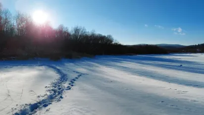 Як сніг і морози в Україні вплинуть на врожай: пояснення кліматолога - фото
