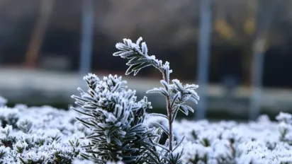 Не розтирайте снігом і забудьте про алкоголь: головні правила виживання у сильний мороз - фото