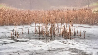 День святого Тимофія 22 січня: чому сьогодні небезпечно віддавати гроші та викидати сміття - фото