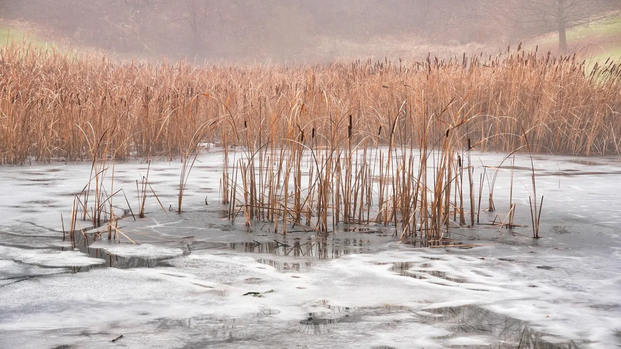 День святого Тимофія 22 січня: чому сьогодні небезпечно віддавати гроші та викидати сміття 