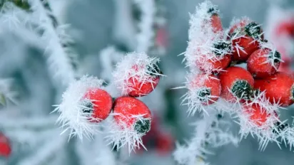 24 січня - День святої Ксенії: звичаї, прикмети та заборони свята - фото