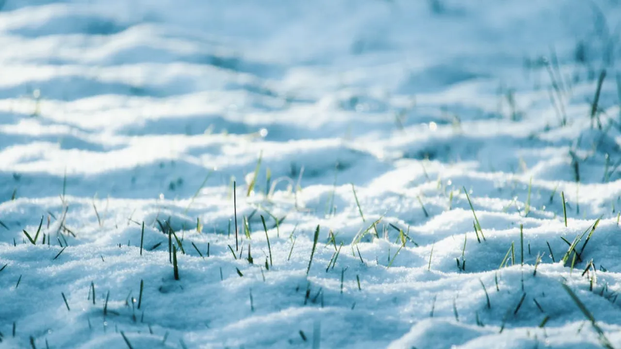 Північне сяйво та повернення морозів: чому зима "сказилася" і чого чекати від лютого 