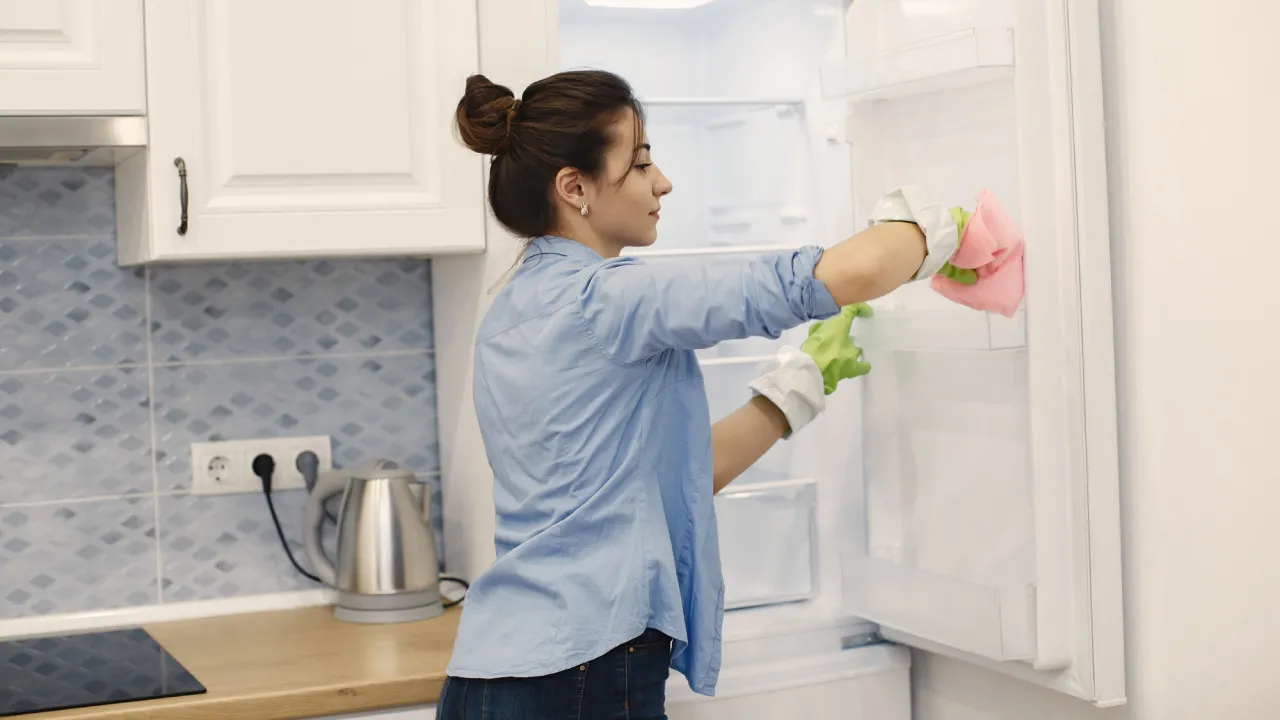 Льоду в морозилці більше не буде: навіщо досвідчені господарі кладуть туди звичайну кухонну губку 