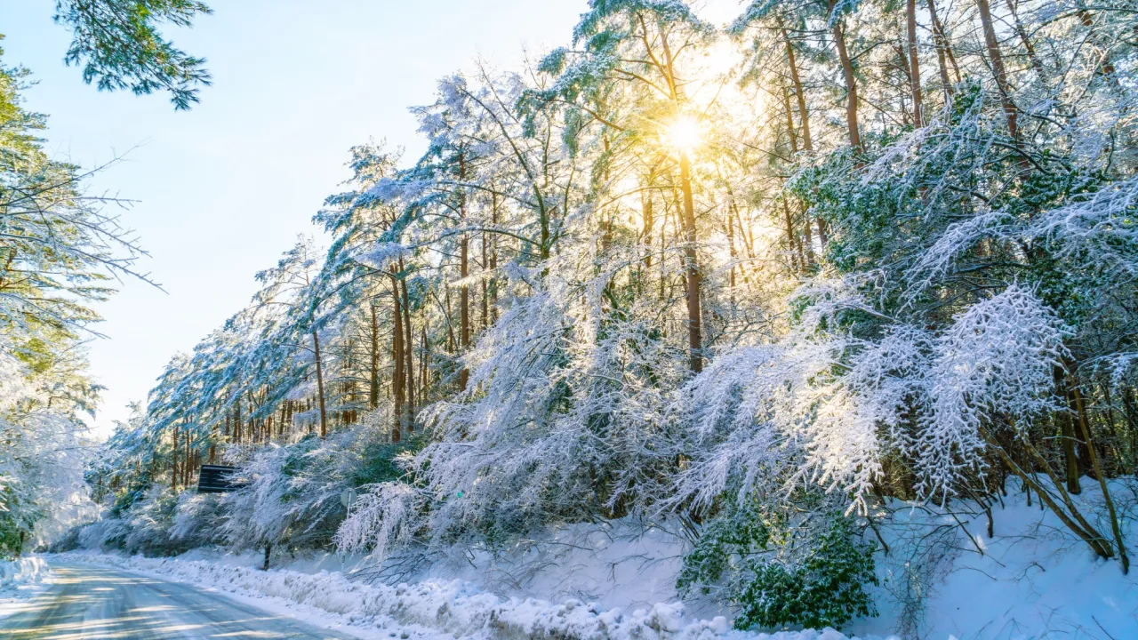 Чому 26 січня не можна сваритися і відмовляти в допомозі 